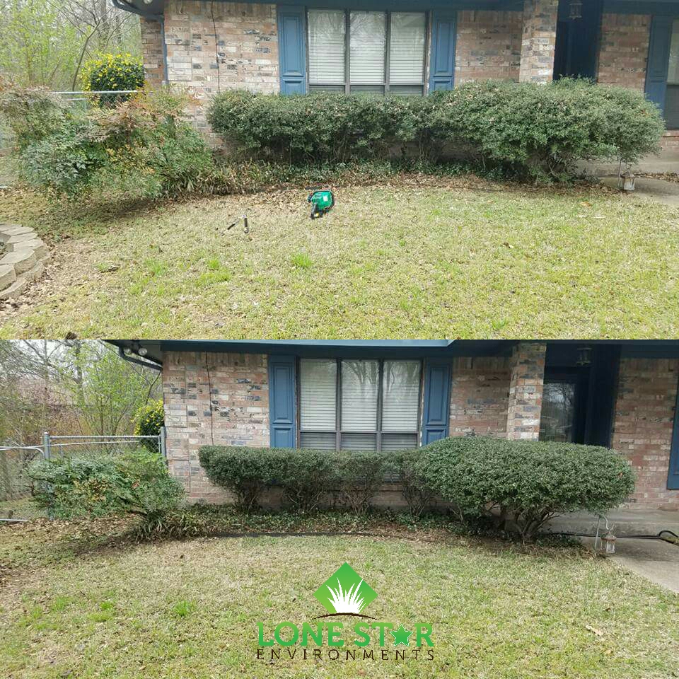 Shrub-Trimming-Greenville-Texas shrub trimming greenville texas