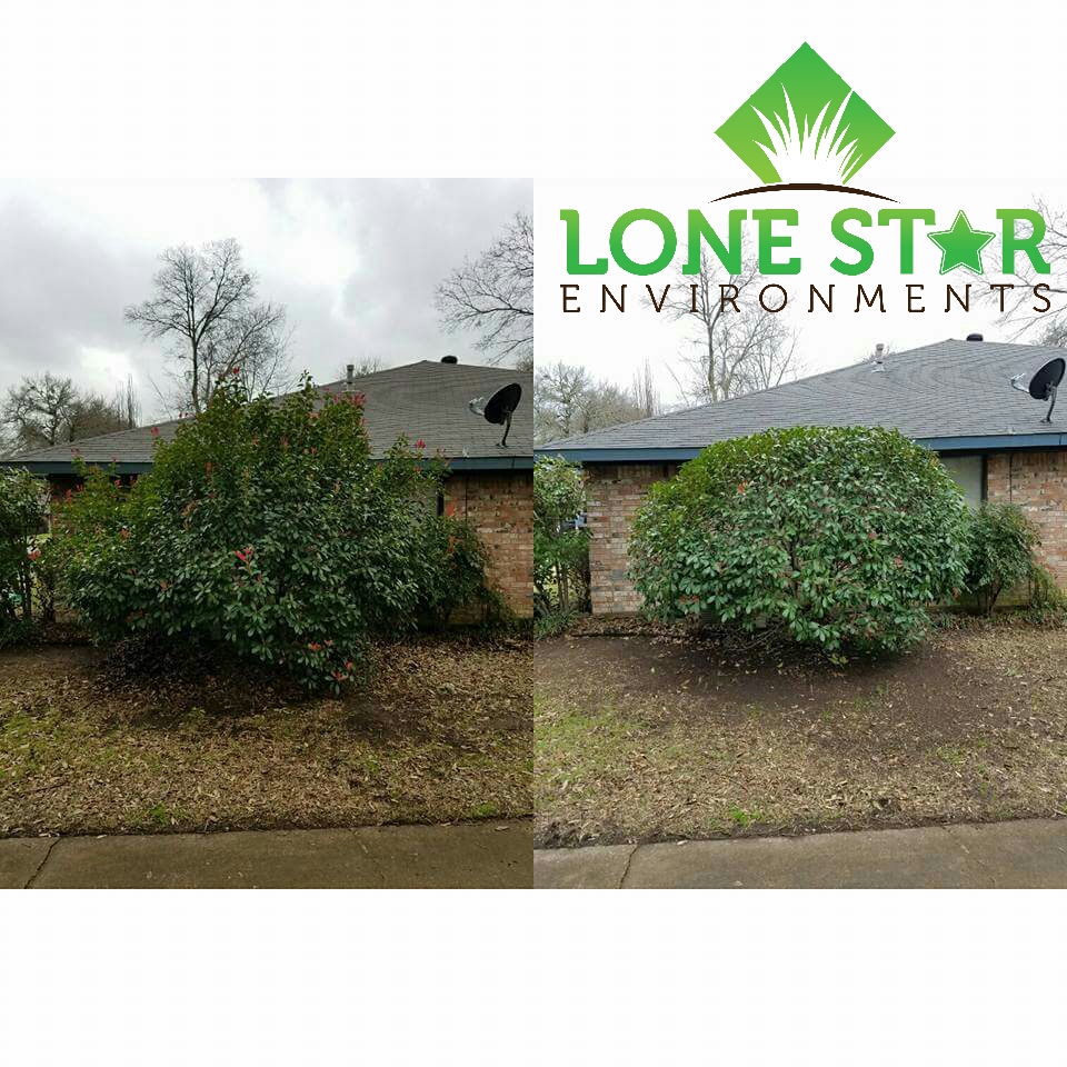 Shrub-Trimming-Royse-City-Texas shrub trimming royse city texas