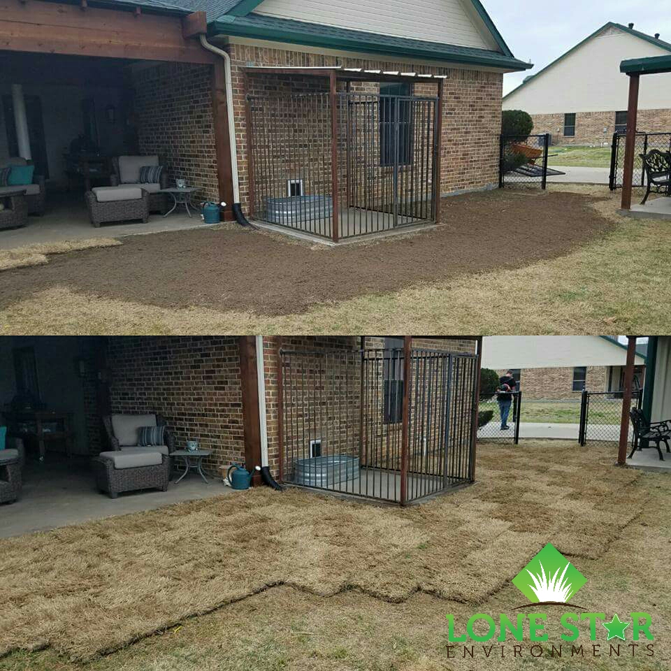 Sod-Installation-Caddo-Mills-Texas sod installation caddo mills texas