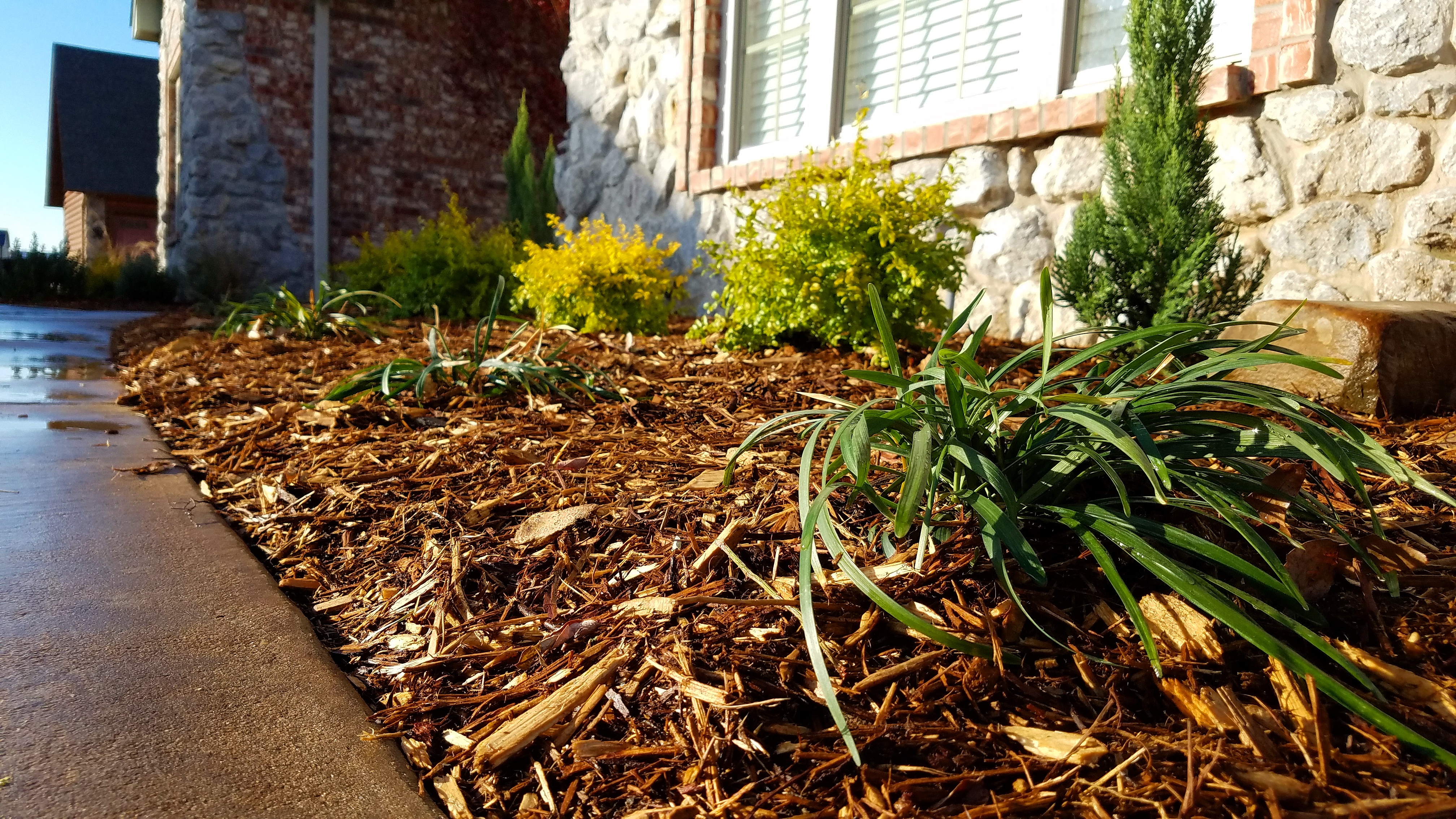 Royse-City-Tx-Mulch-Installation Royse City Tx Mulch Installation